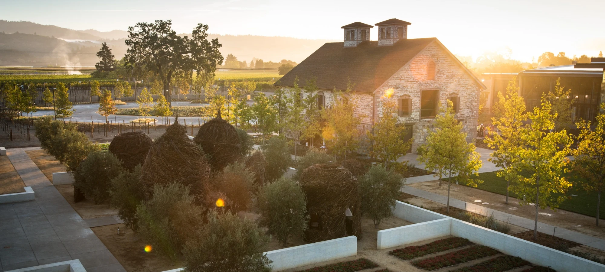 HALL Wines St. Helena