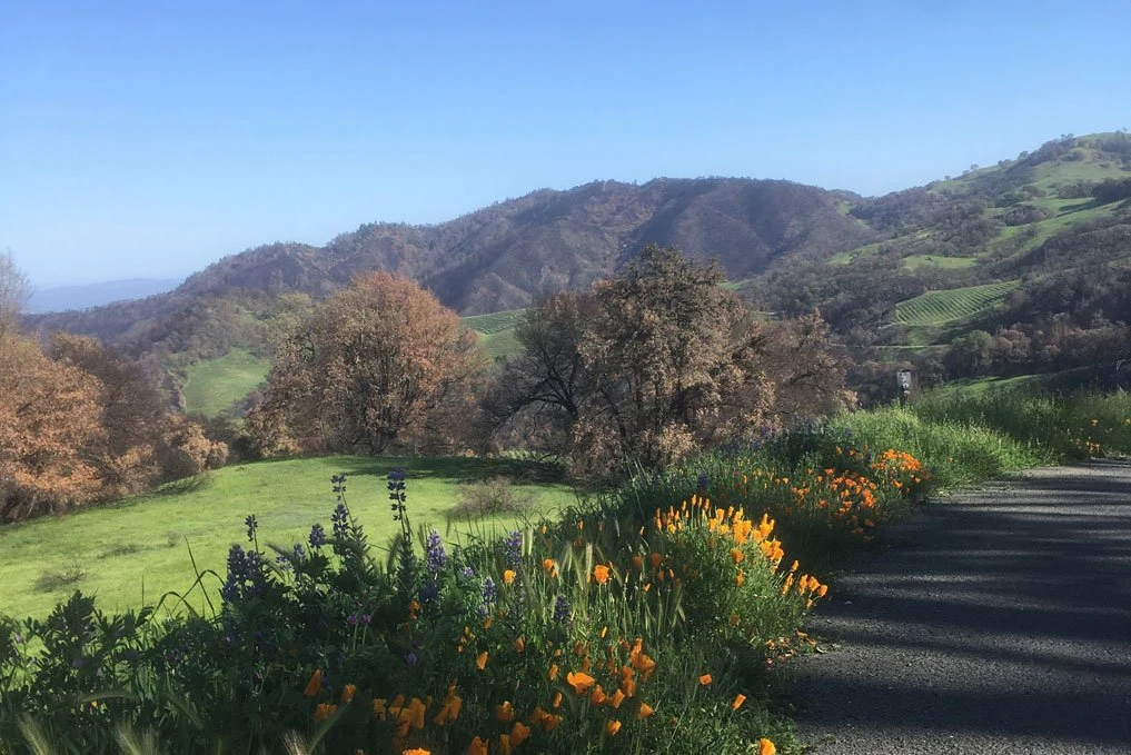 Cain Vineyard & Winery