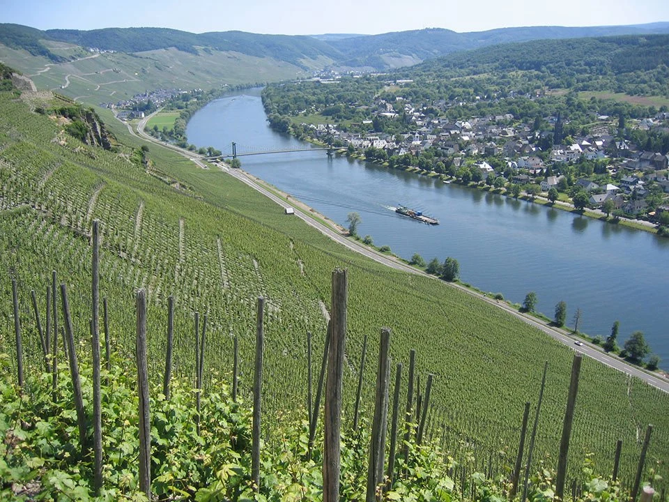 Studert-Prüm-Maximinhof