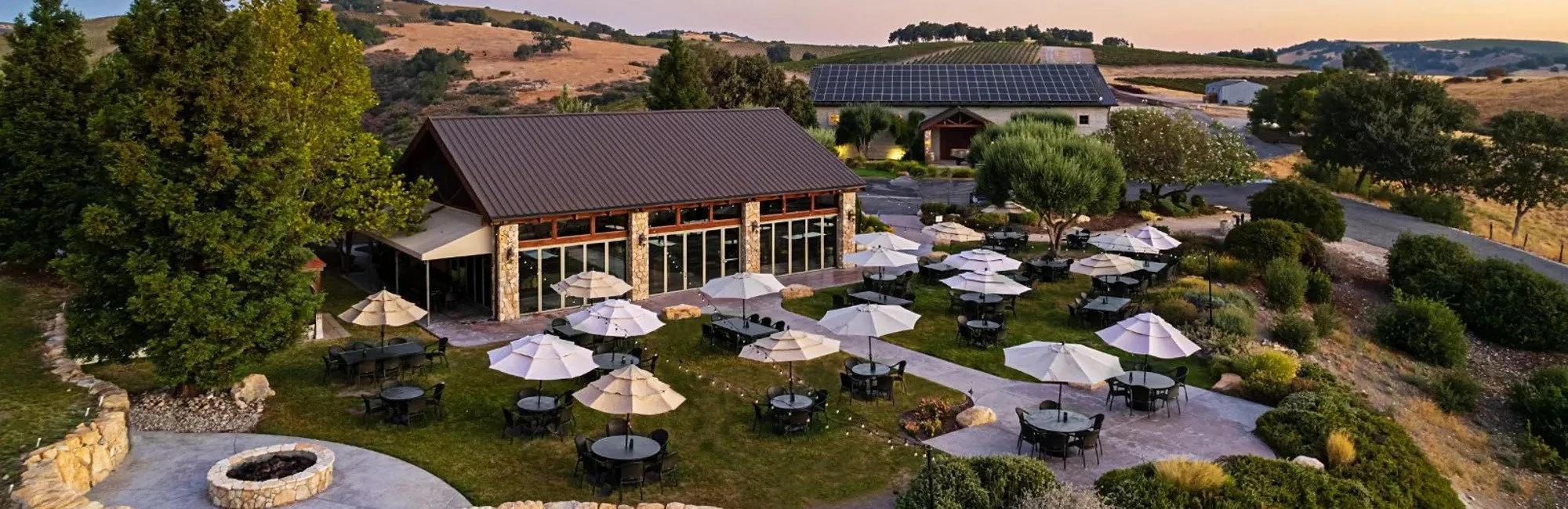 Calcareous Vineyard