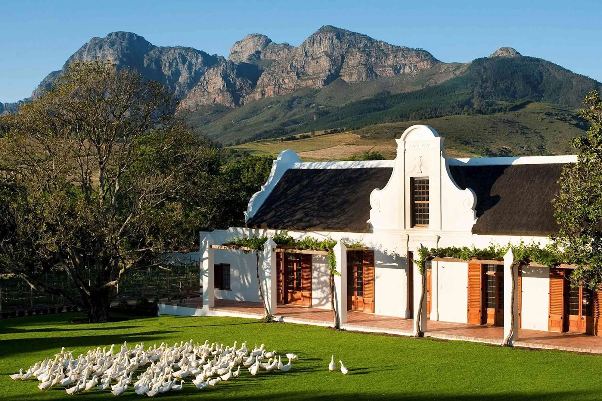 Babylonstoren