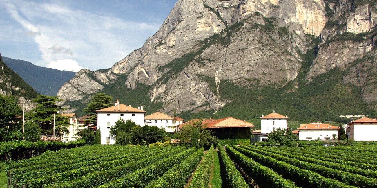 Azienda Agricola Brunetti