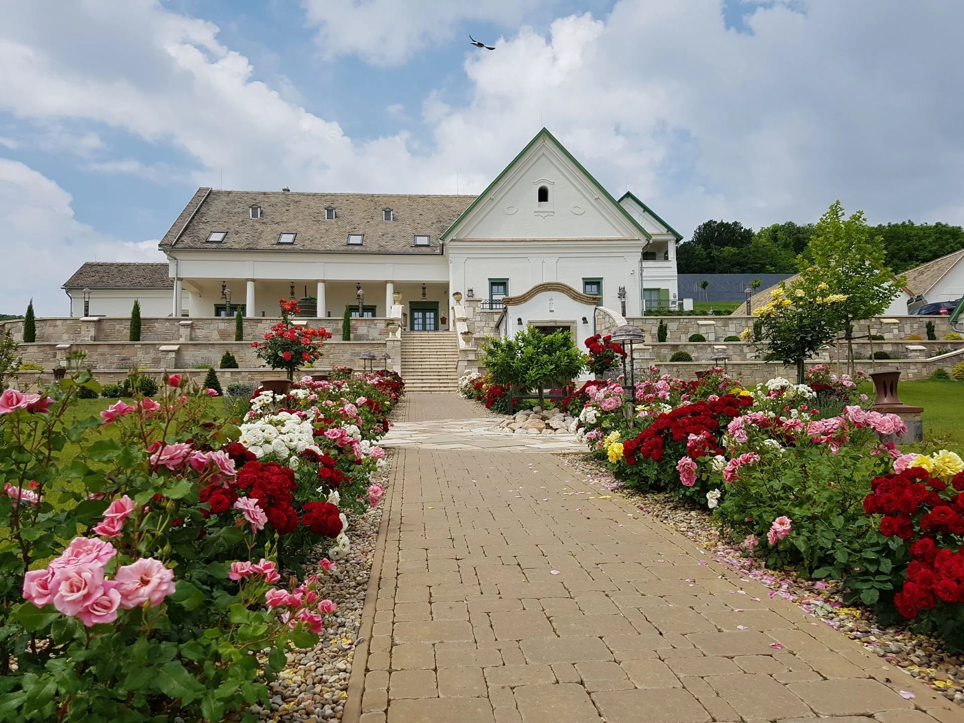 Takler Winery