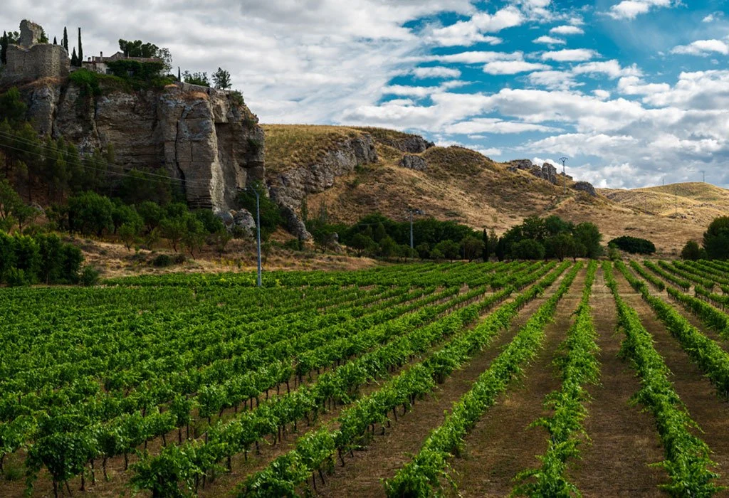 Bodegas Licinia