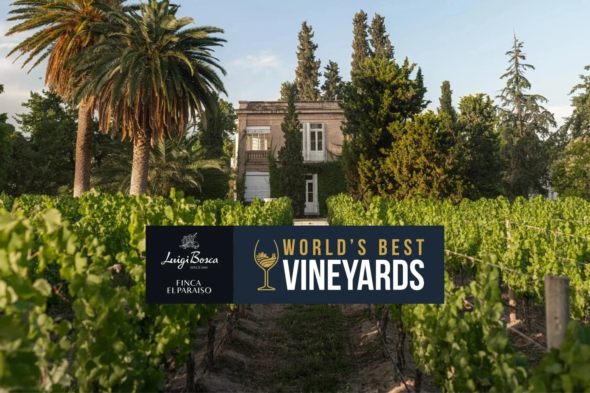 Finca El Paraíso - Luigi Bosca