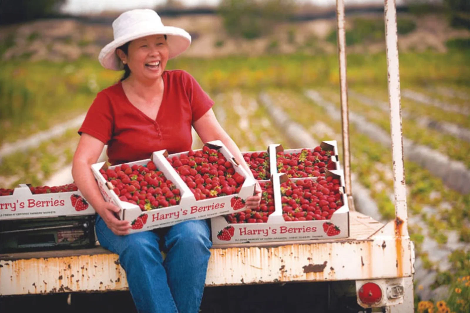 Harry's Berries produce producer, workshop, farm, or product