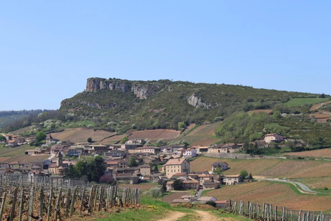 Domaine Cheveau