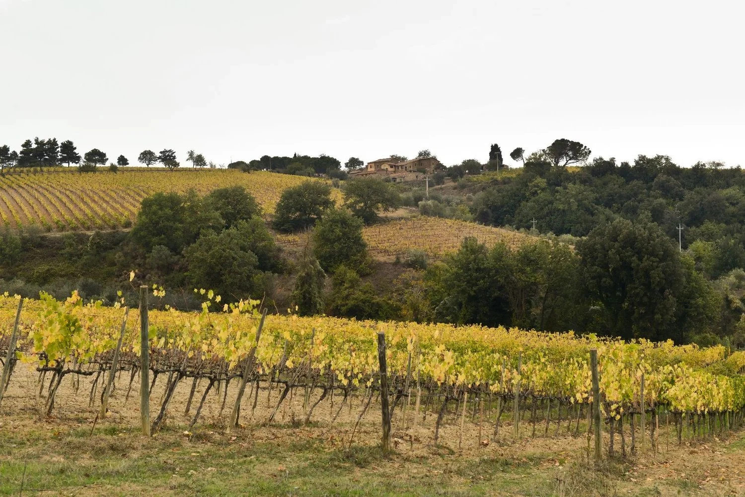 Castello di Lucignano