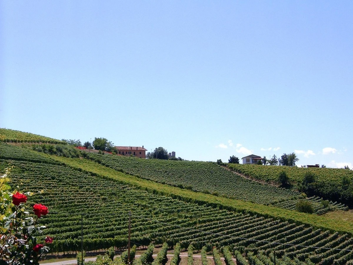 Azienda Agricola Gabutti di Boasso Franco
