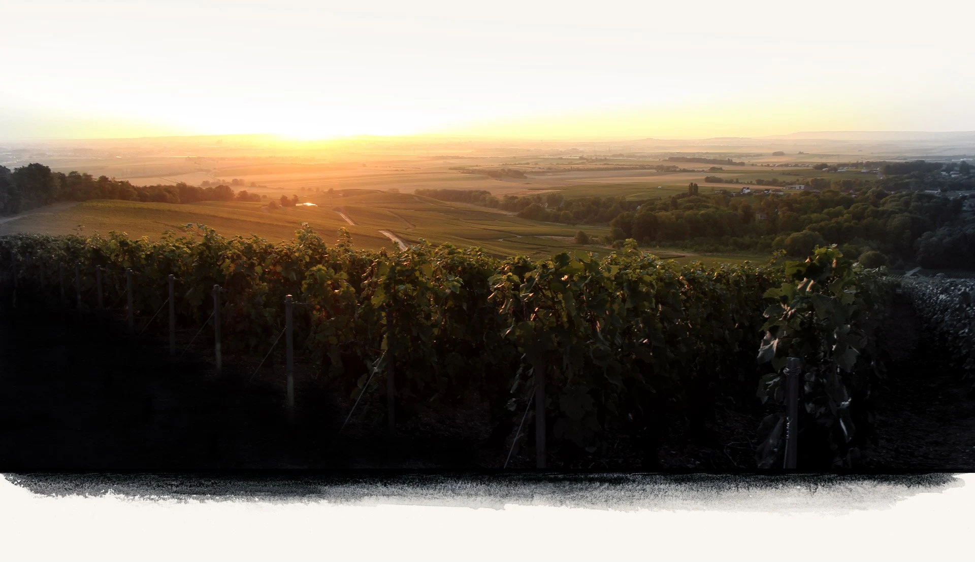 Champagne Roger Coulon