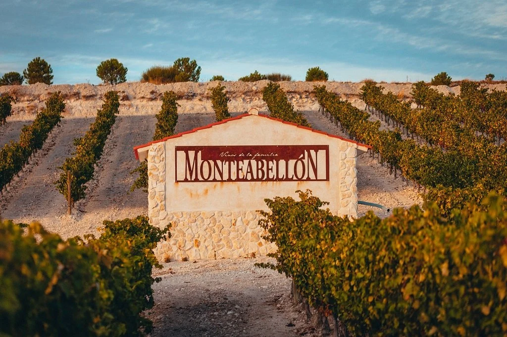 Bodegas y Viñedos Monteabellón