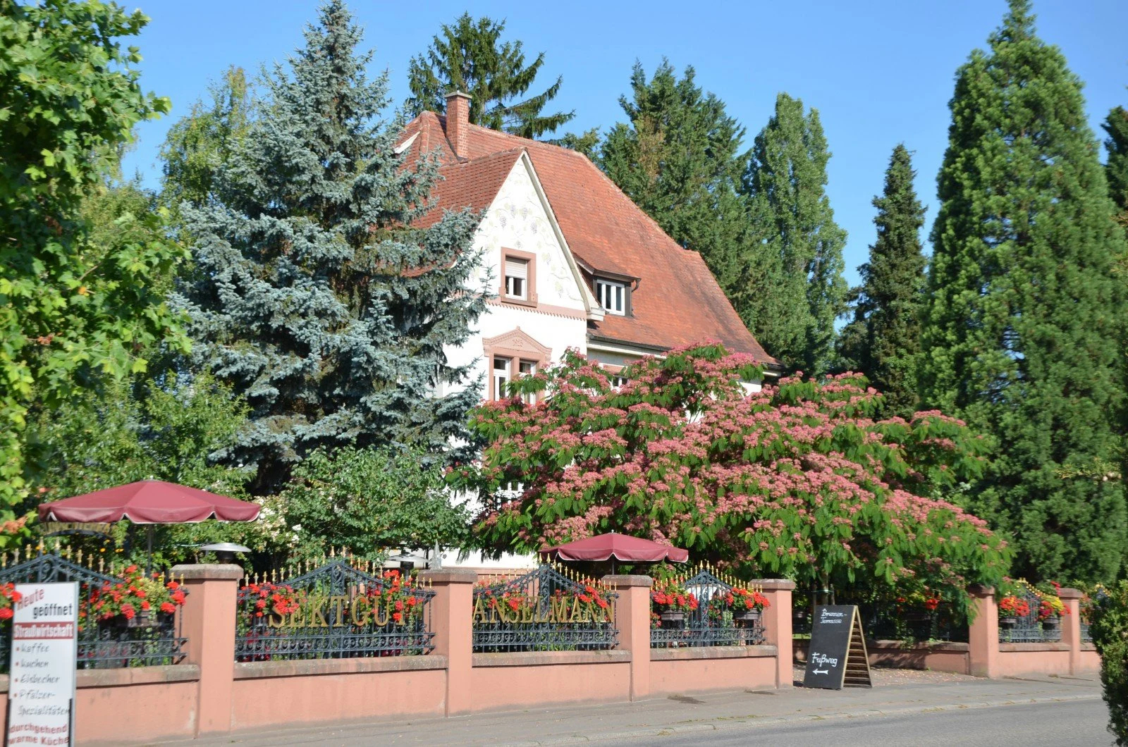 Weingut Anselmann