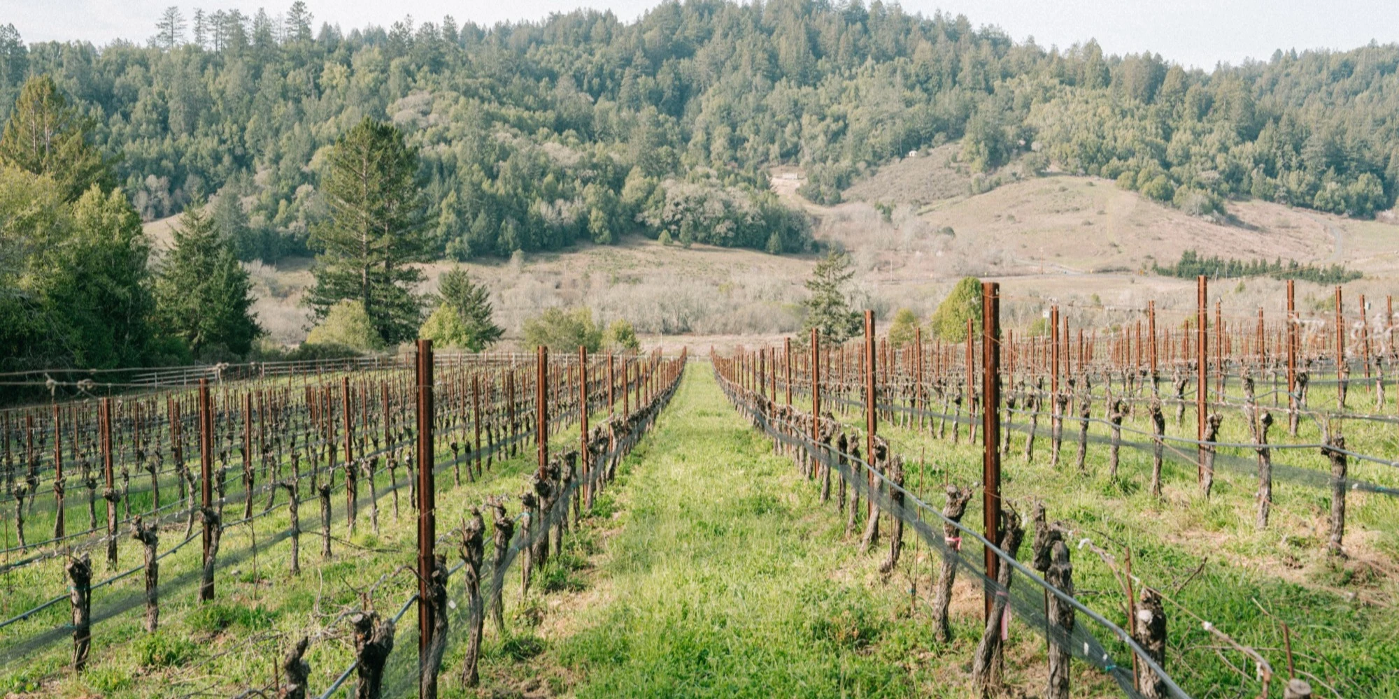 RAEN Winery