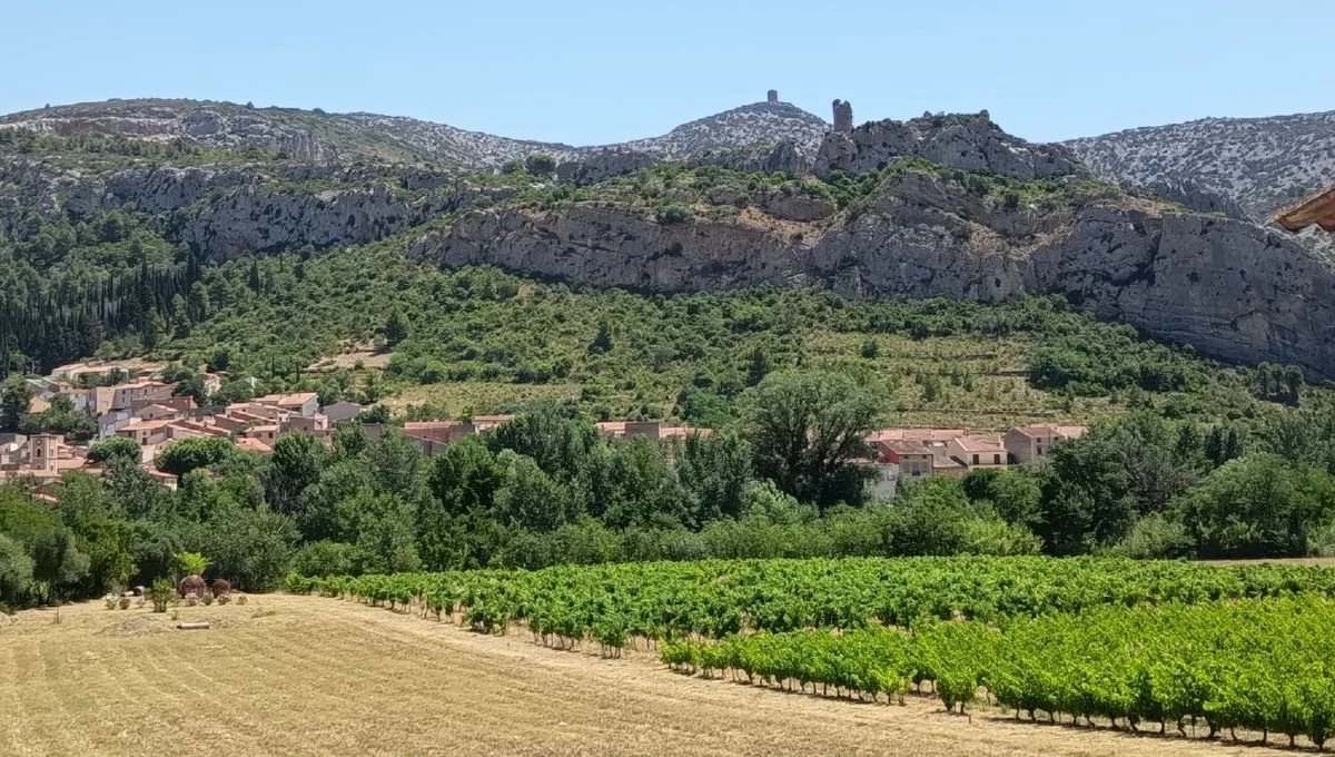 Domaine Piquemal