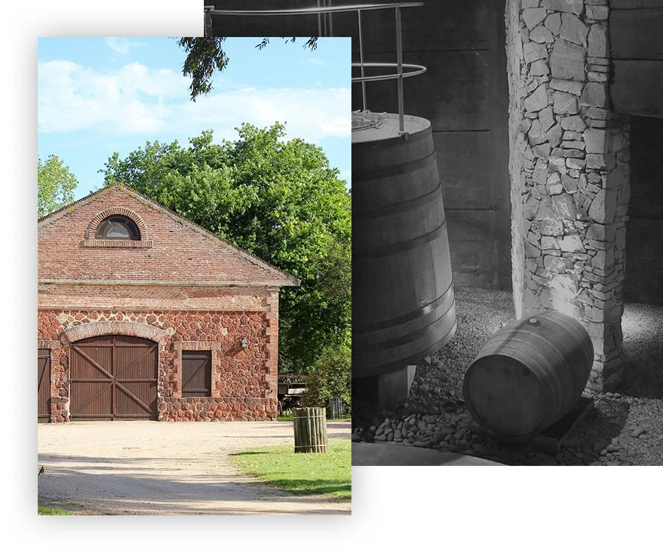 Bodega Juanicó