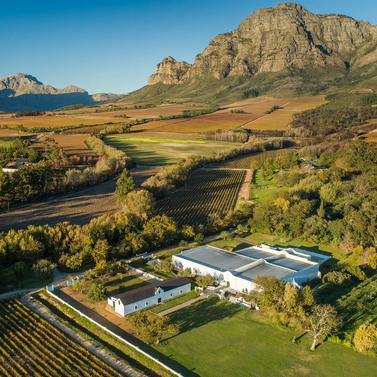 Plaisir Wine Estate