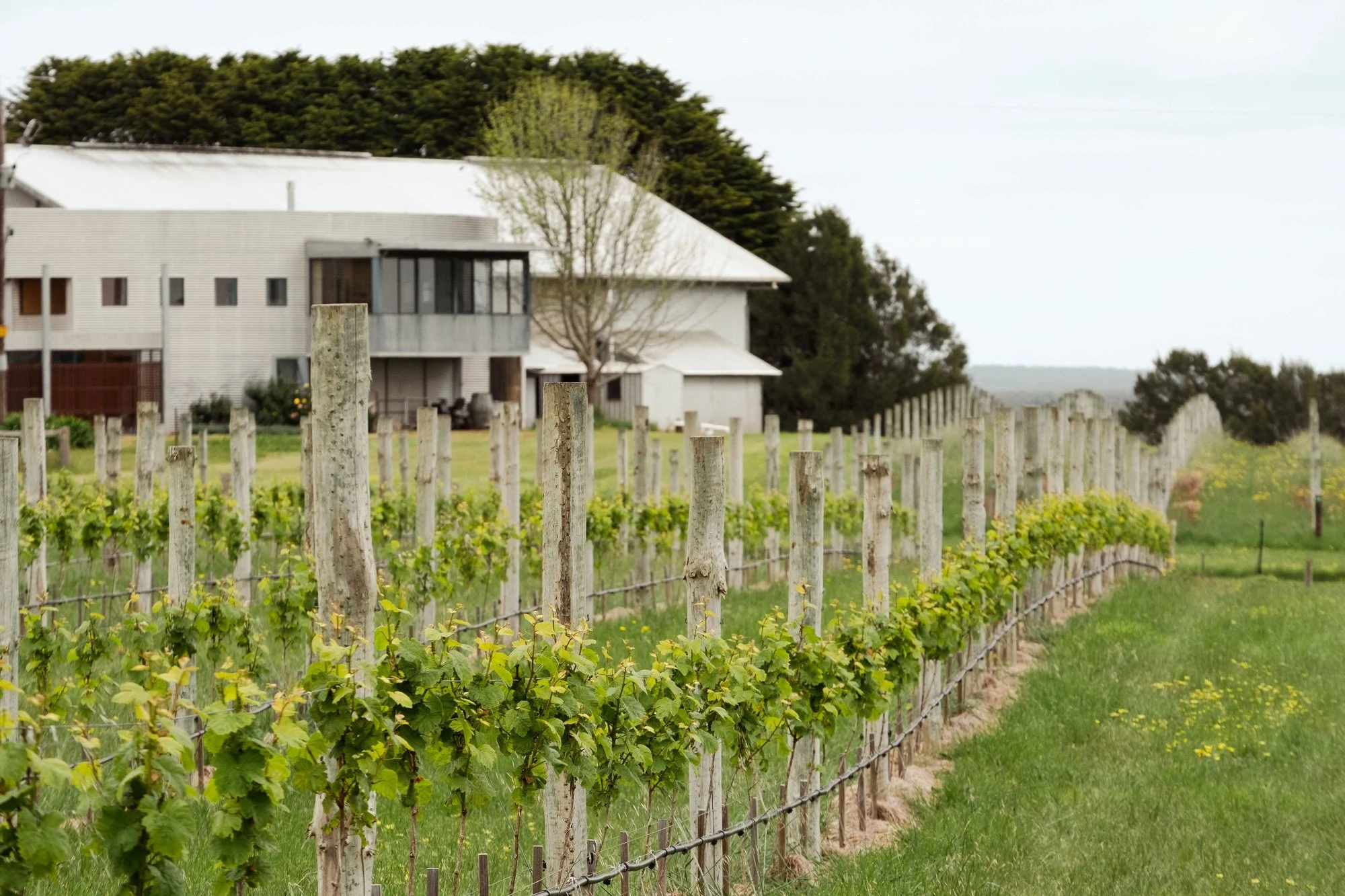 Crawford River Wines