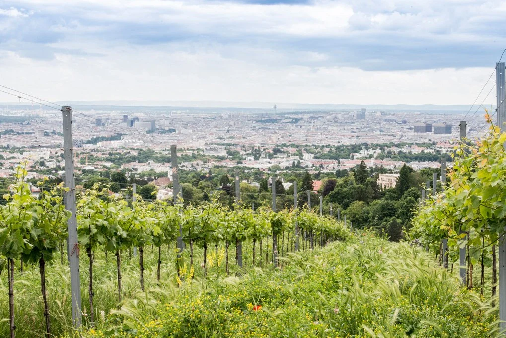 Weingut Wien Cobenzl