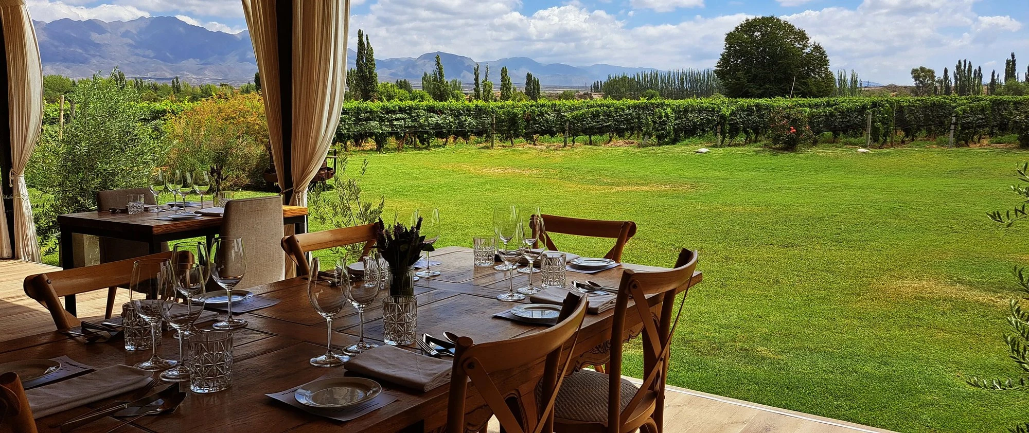 Riccitelli Wines