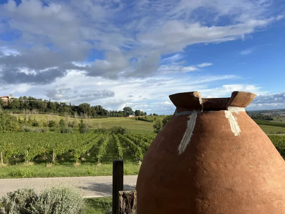 Tenuta La Viola