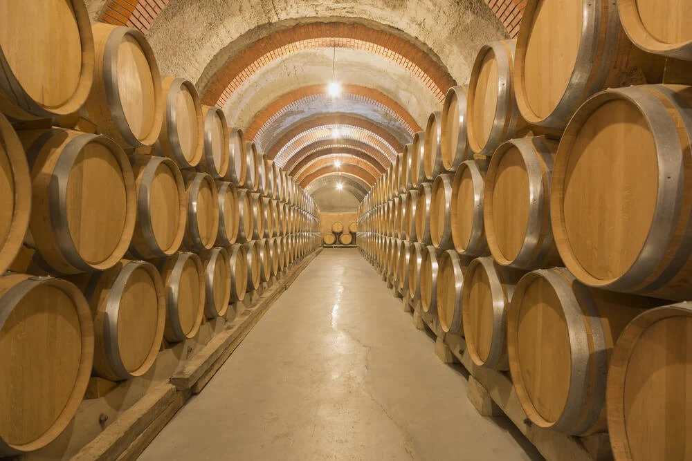 Bodegas y Viñedos Alnardo – Peter Sissek