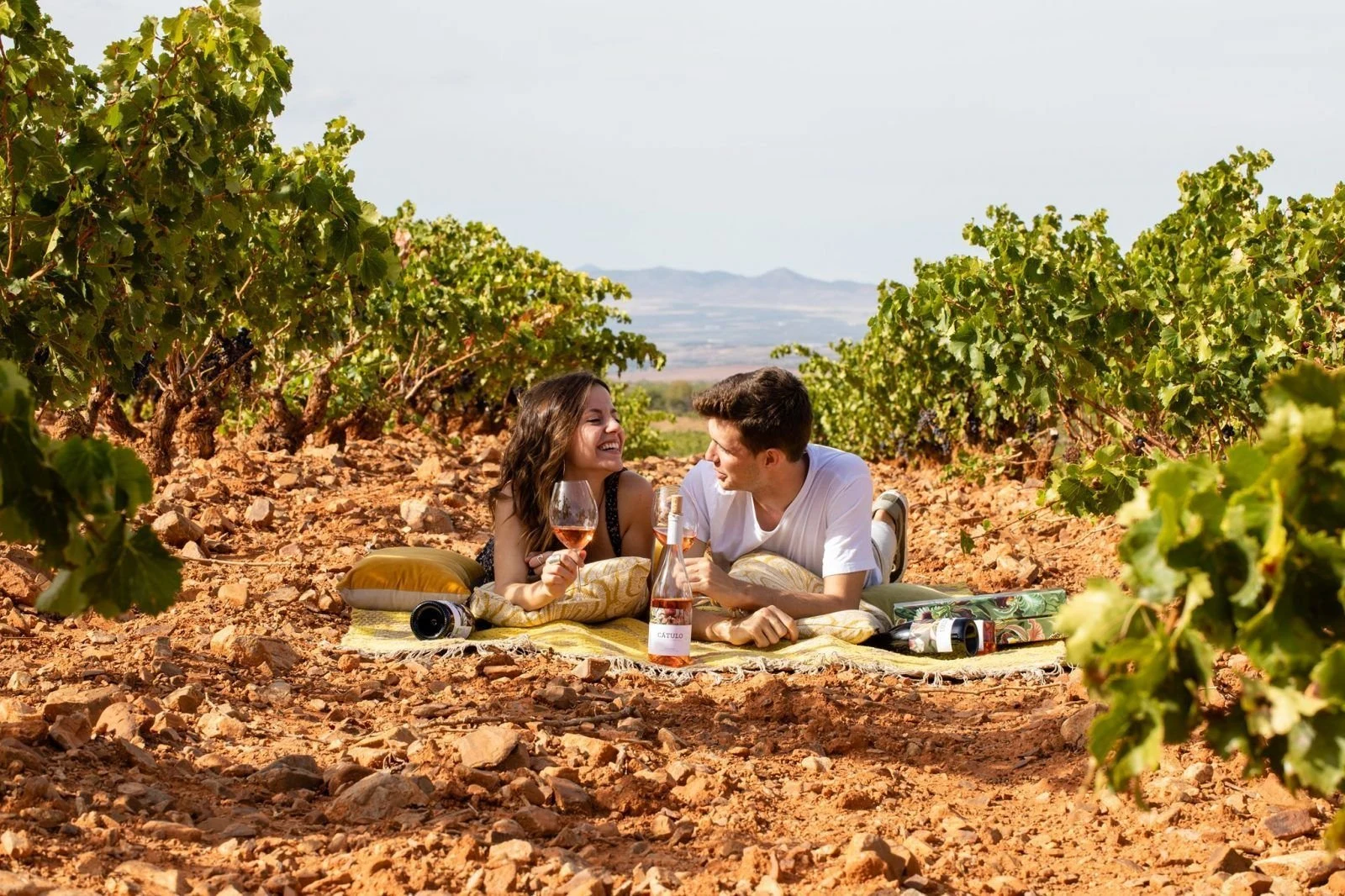 Bodegas La Casa de Lúculo