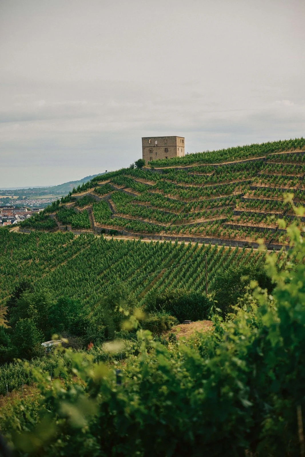 Weingut Karl Haidle