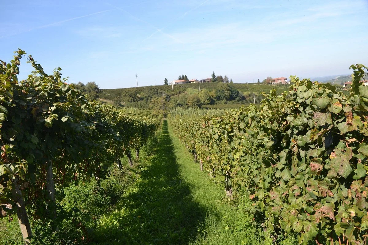 Azienda Agricola Ressia
