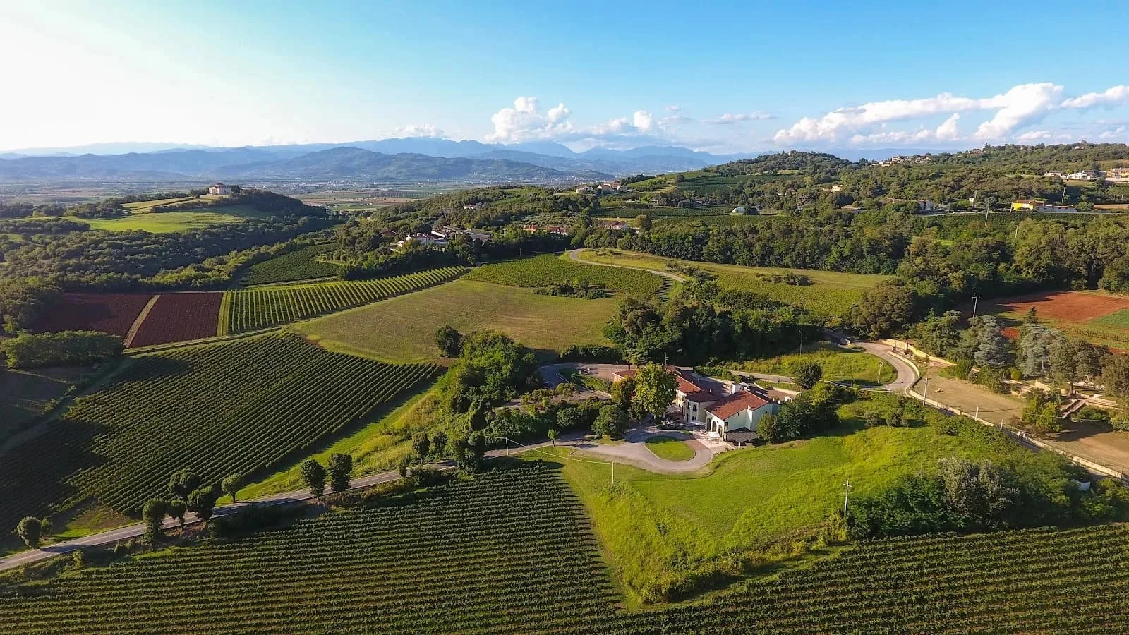 Tenuta Maule