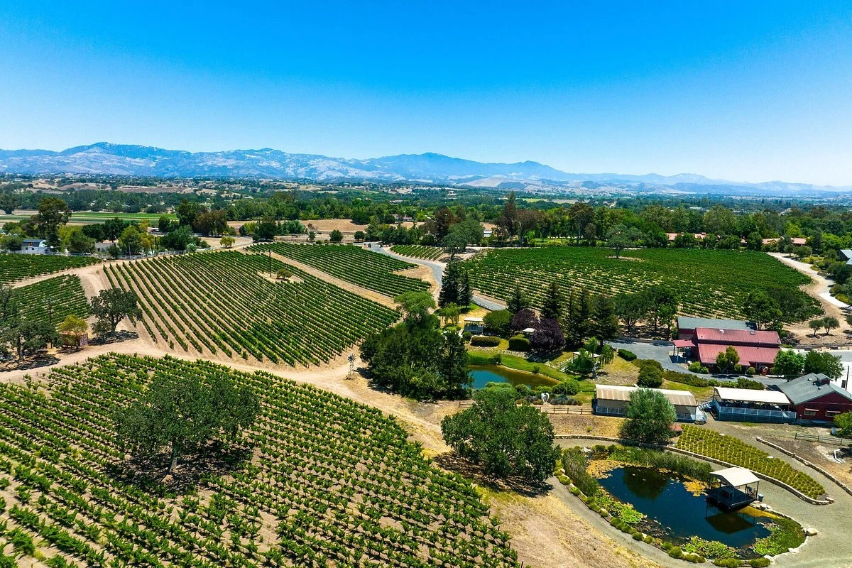 Beckmen Vineyards