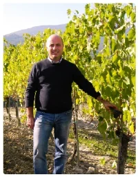 Marco Barbanera