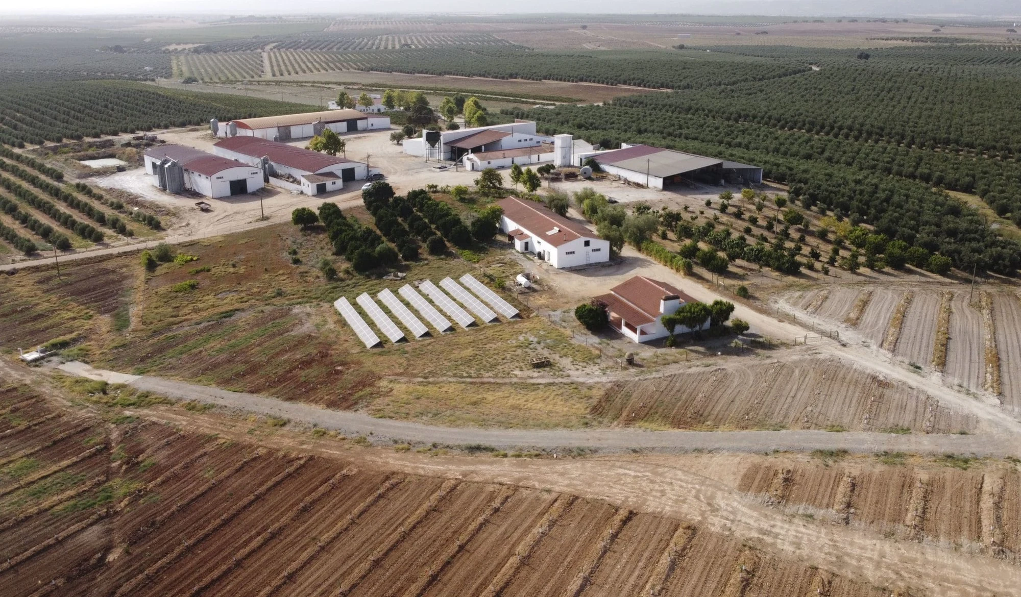 Herdade dos Coteis