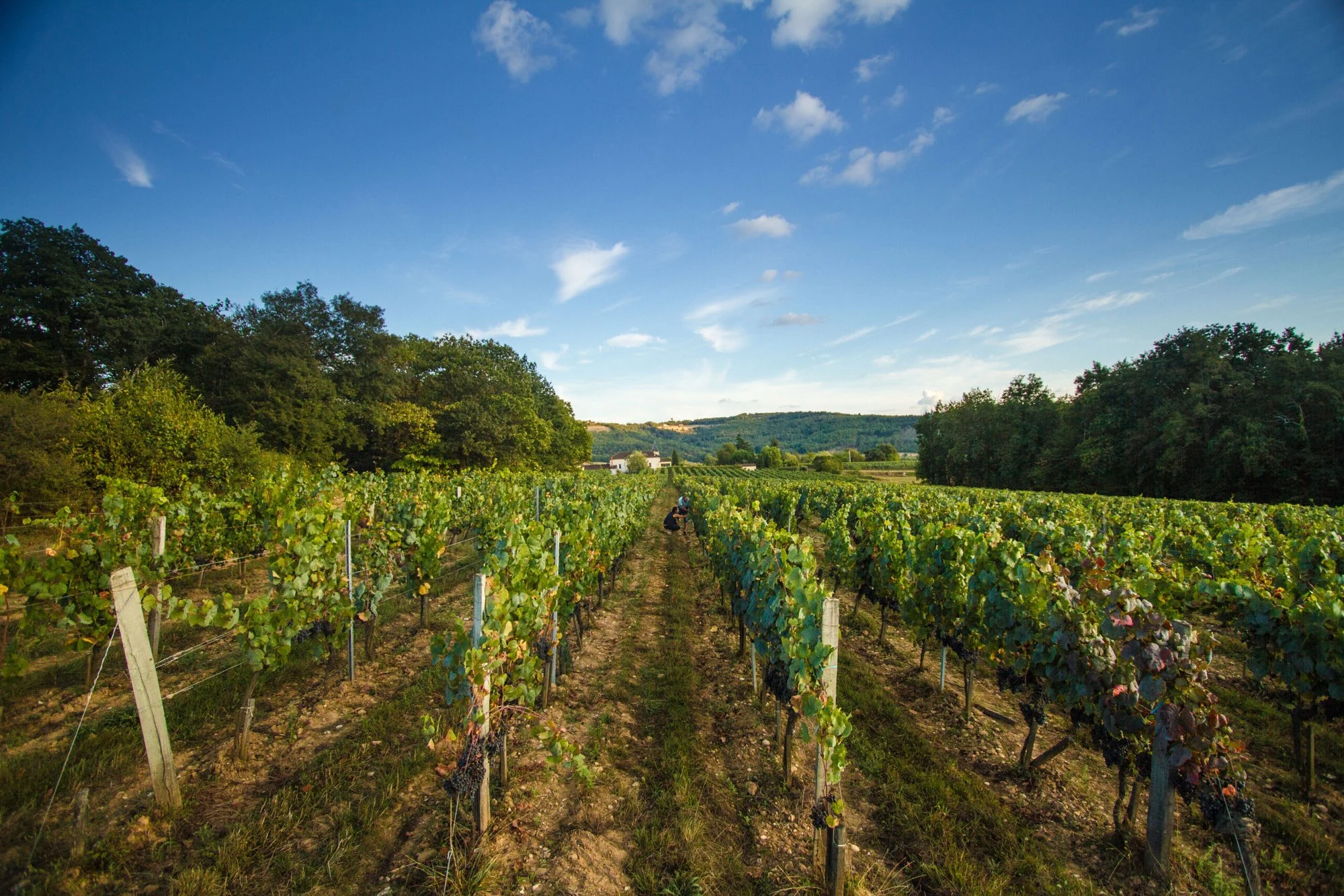 Château Haut Monplaisir