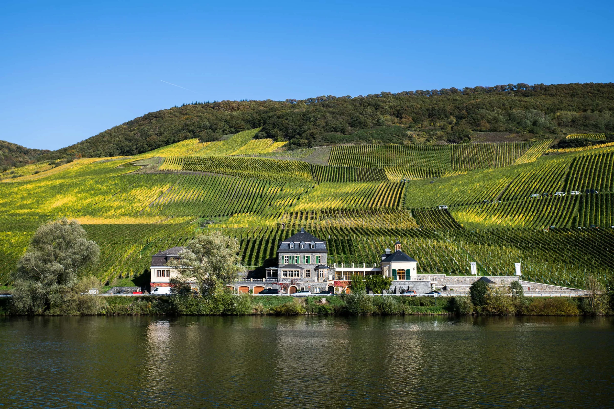 Weingut Dr. Loosen
