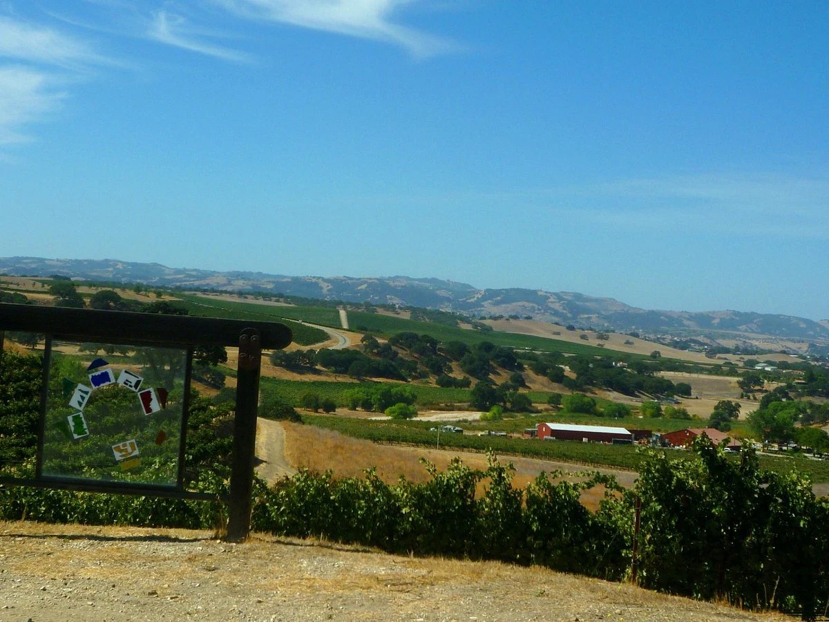 Penman Springs Vineyard