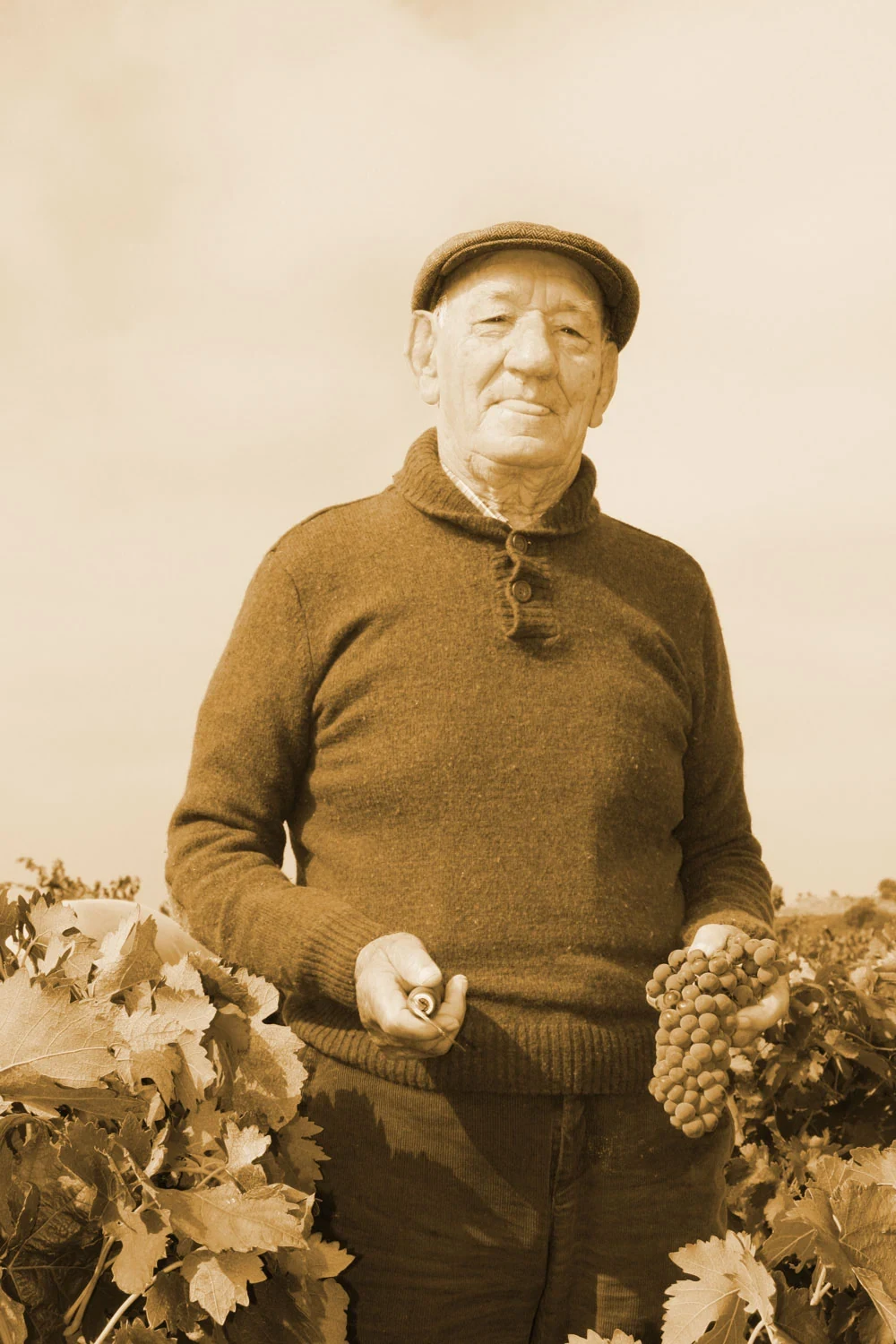 Teófilo Asenjo