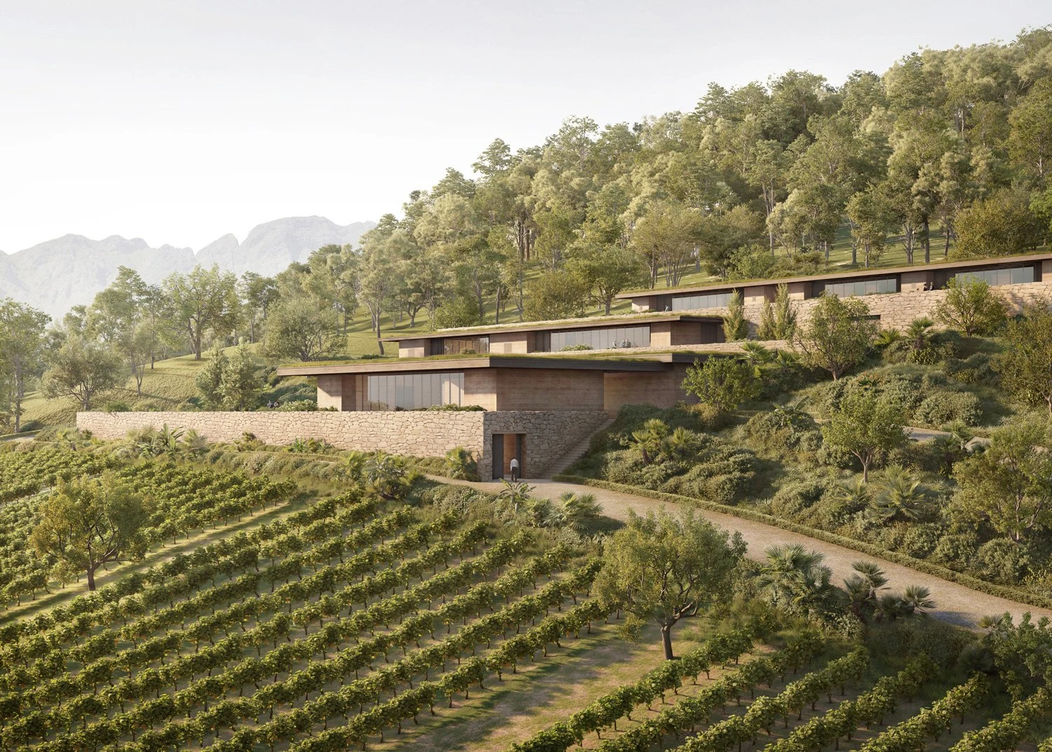 4G Wines