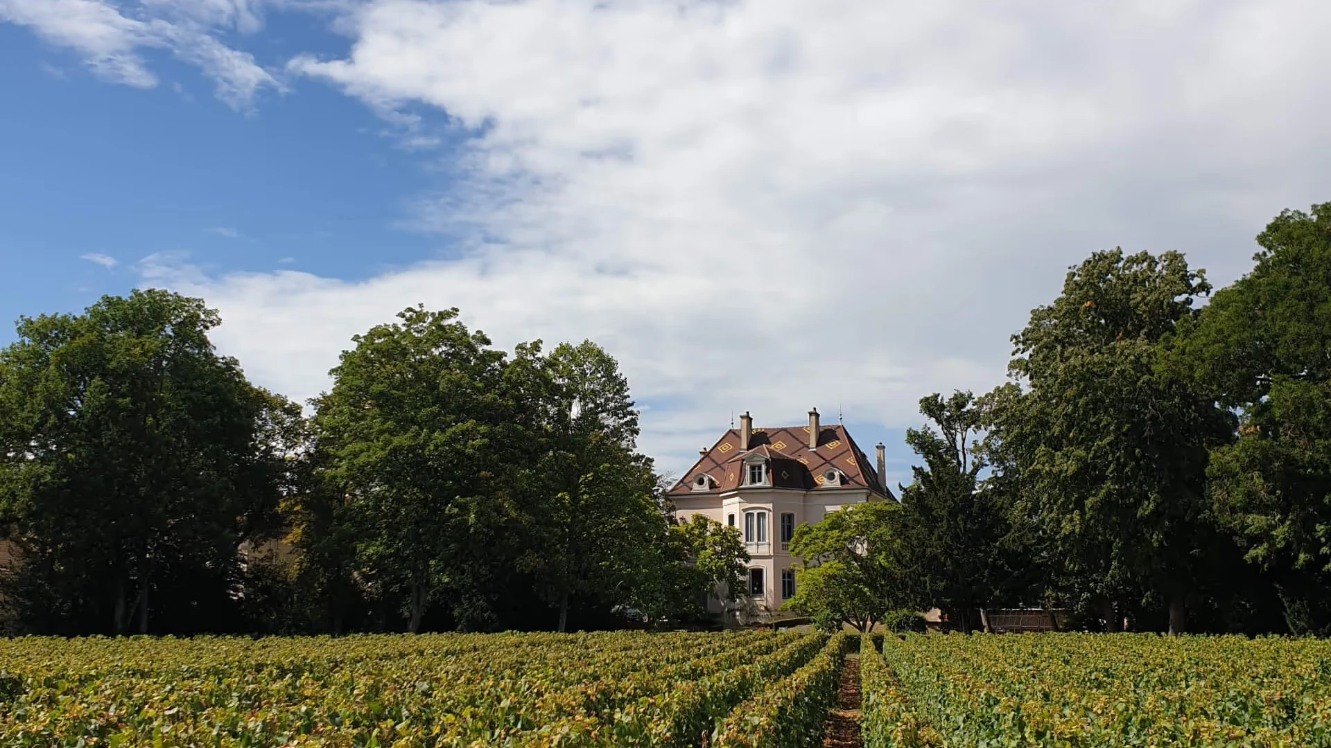 Domaine des Comtes Lafon