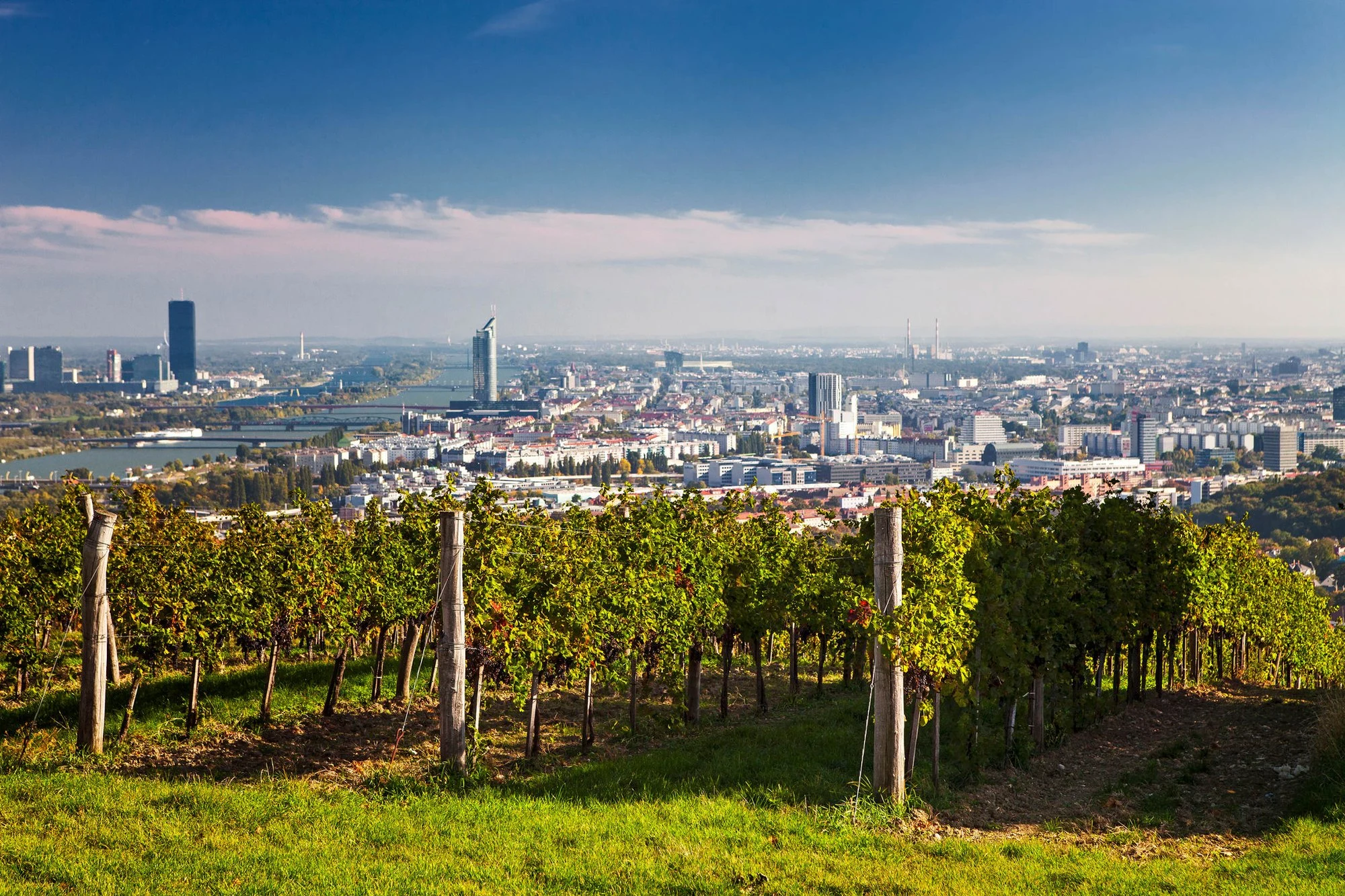 Weingut Fritz Wieninger