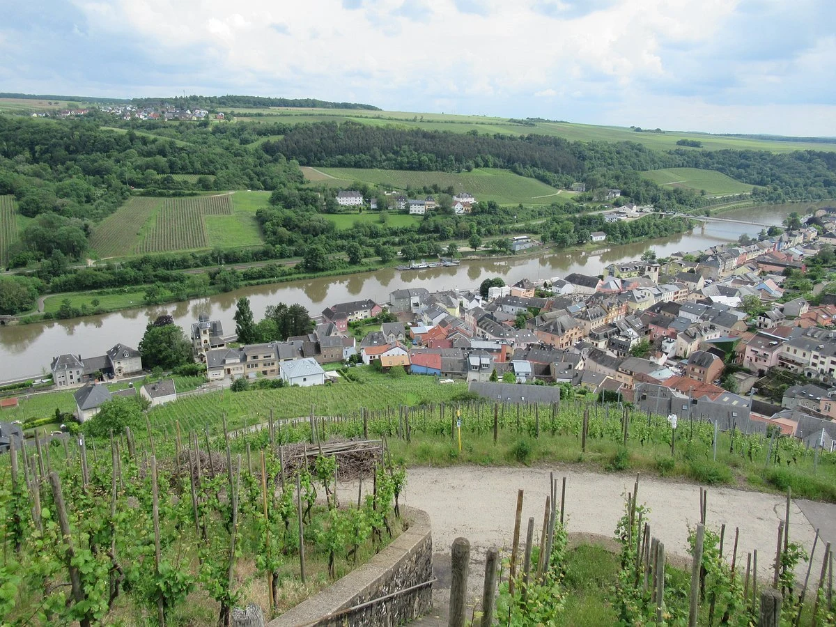 Bioweingut Ollinger-Gelz