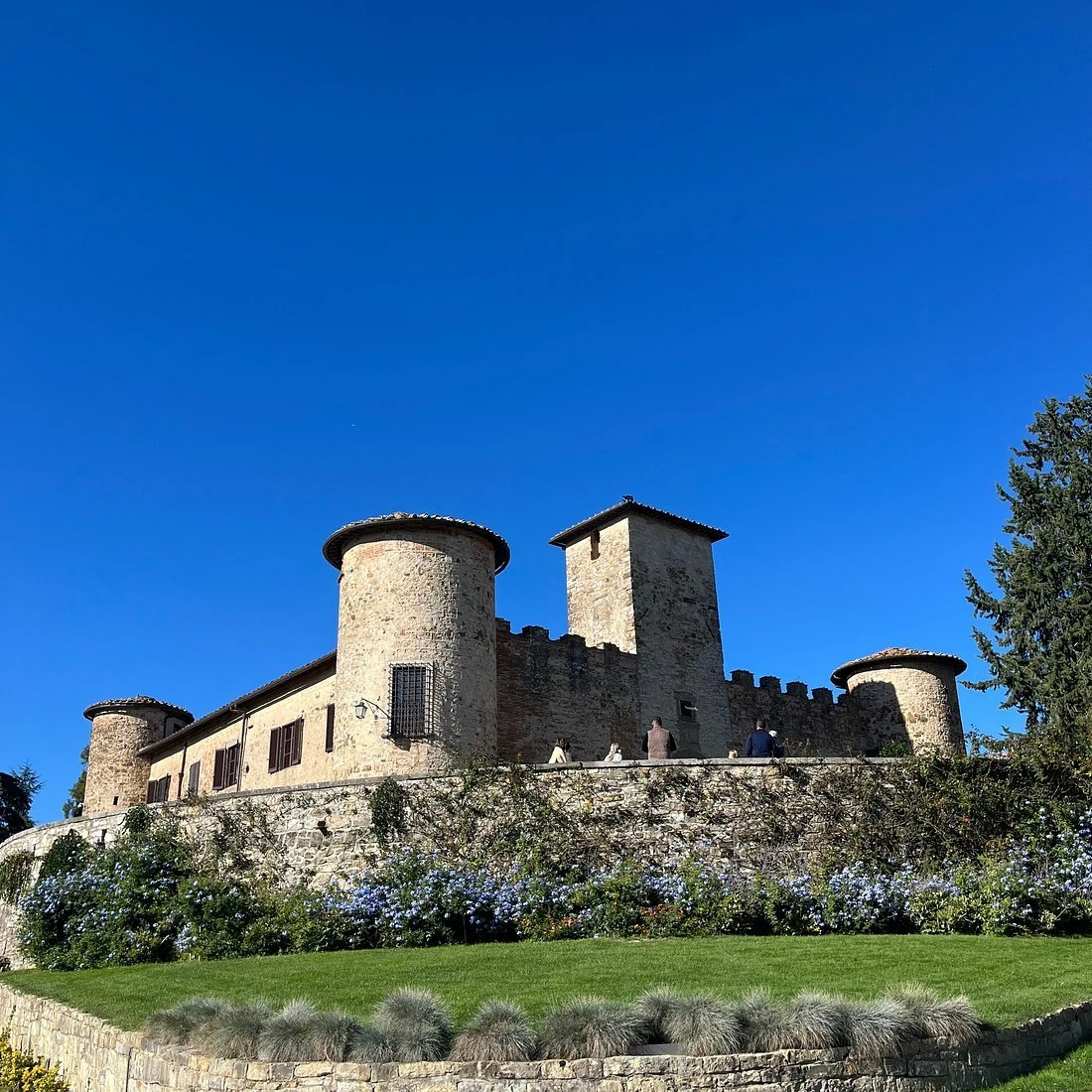 Azienda Agricola Solatione