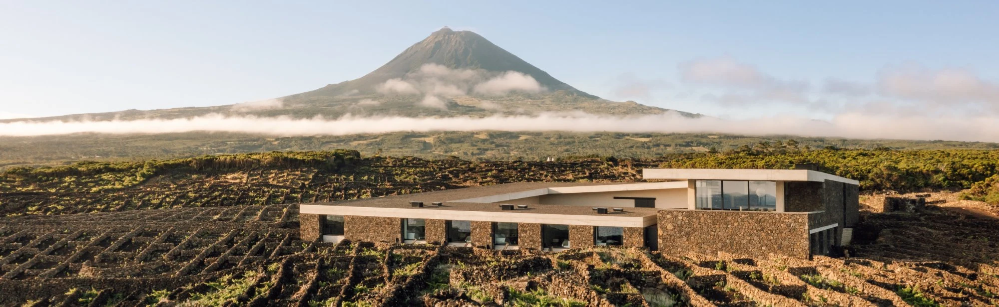 Azores Wine Company