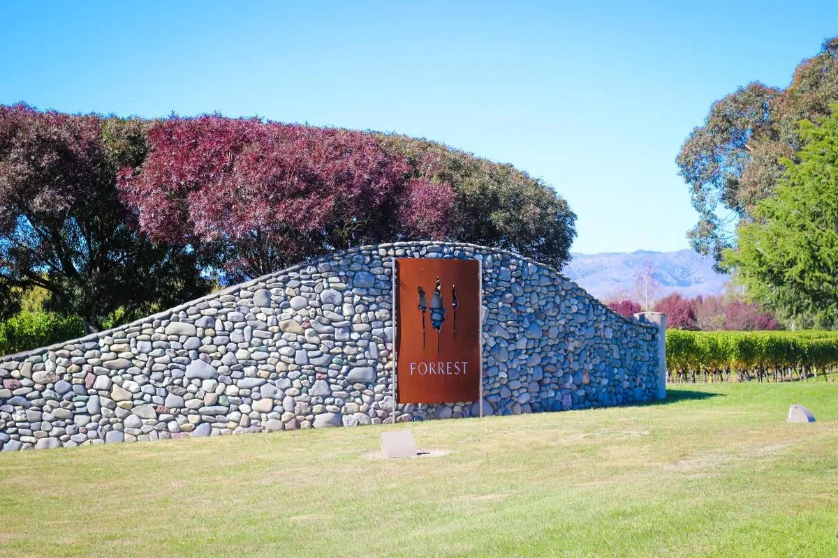 Forrest Wines
