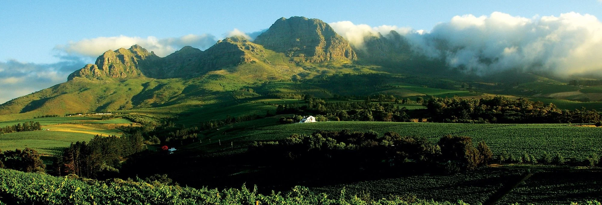 Bruce Jack and Drift Estate