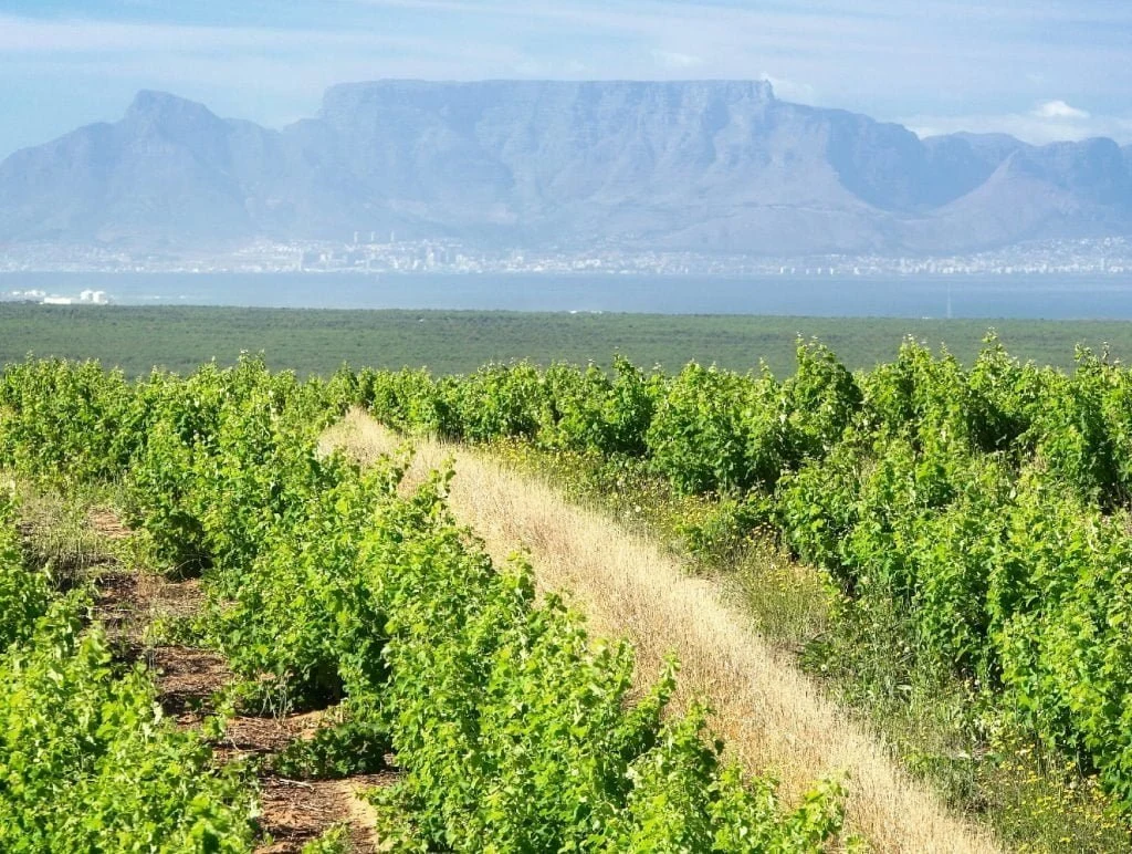 Darling Cellars