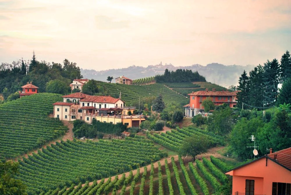 Azienda Agricola Guido Porro