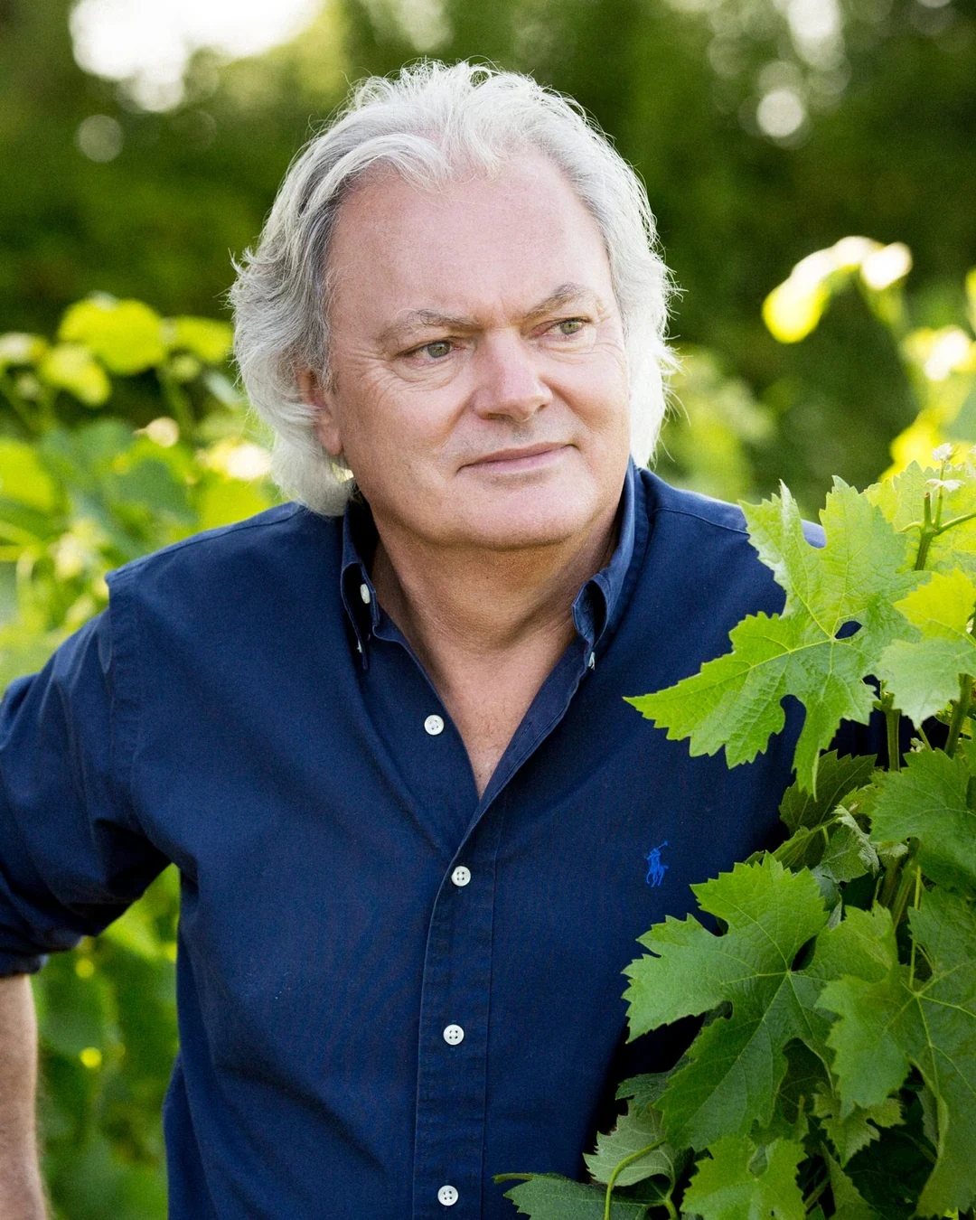 Hubert de Boüard