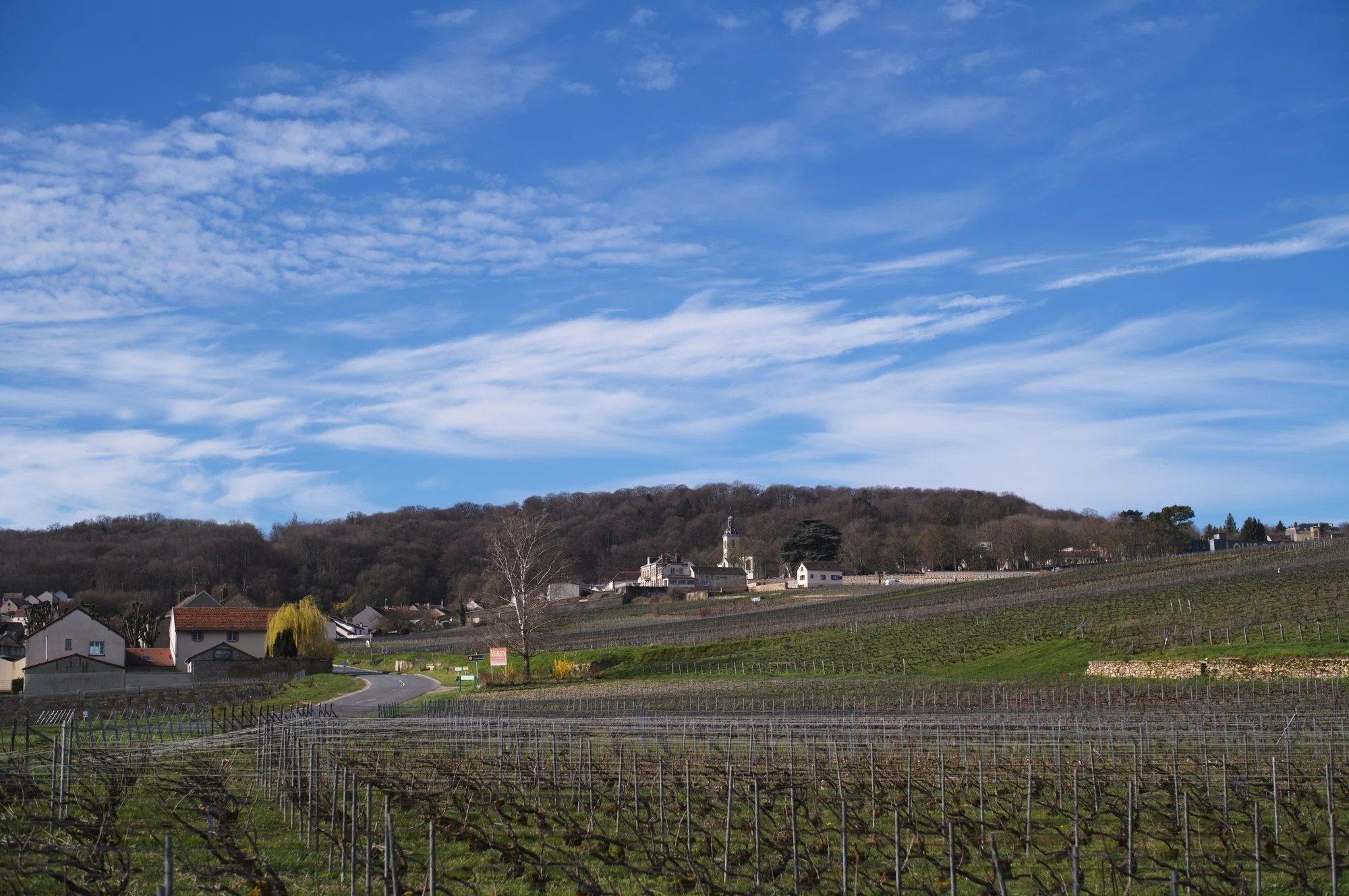 Champagne Mouzon Leroux et fils