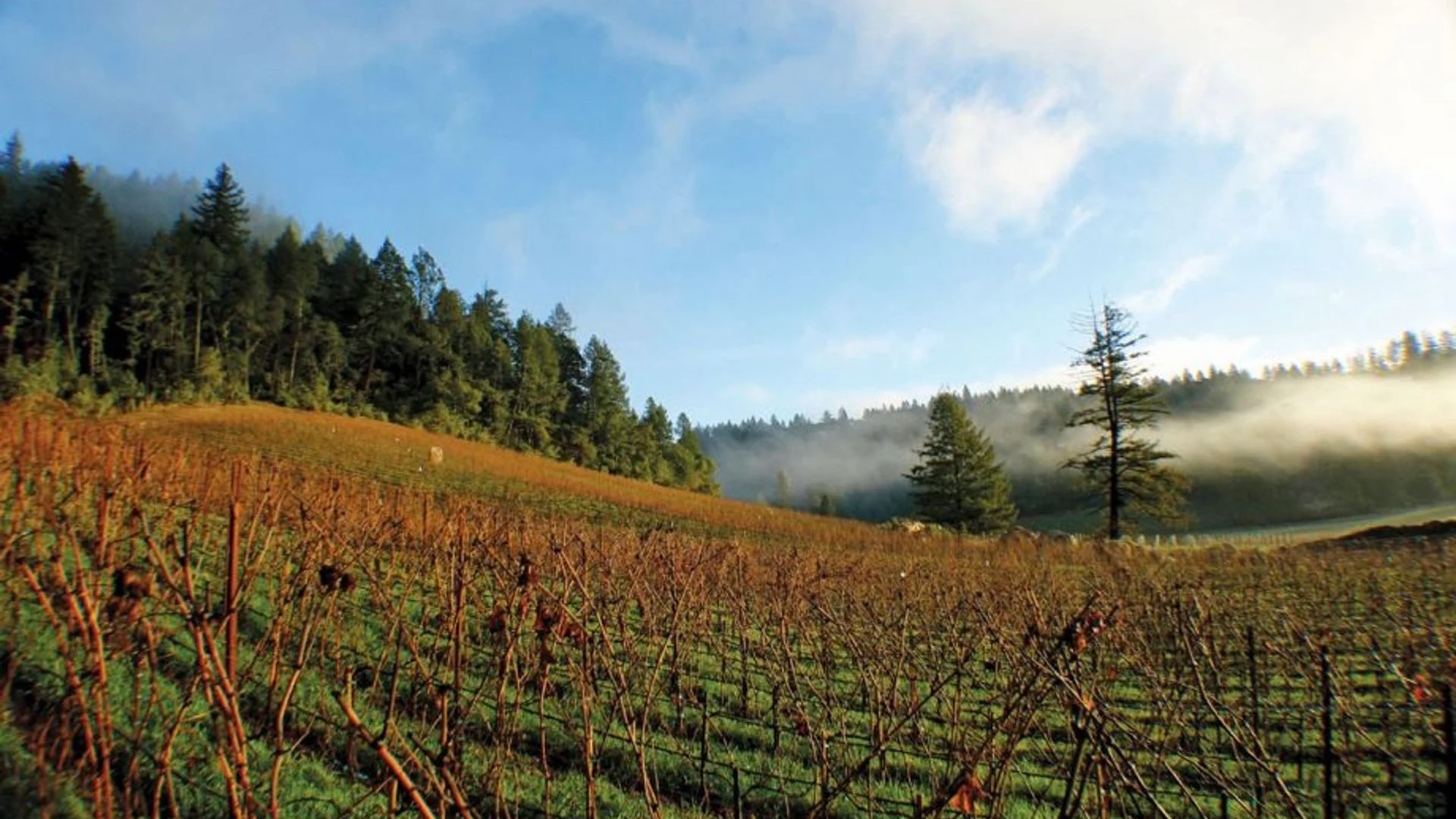 Hundred Acre