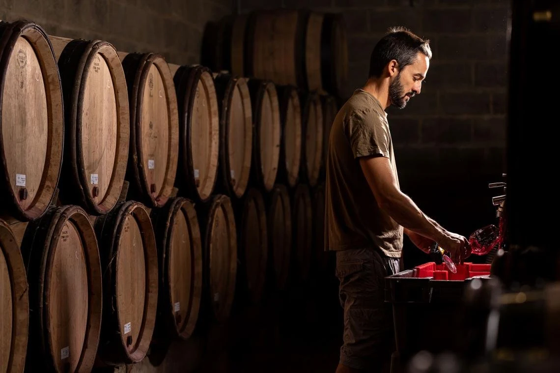 Domaine P. & M. Jacqueson